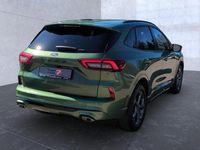 Gebraucht Ford Kuga ST-Line X 186 PS (136 kW) 2025 Bursting green (metallic) SUV