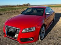 Gebraucht Audi S5 Basis 354 PS (260 kW) 2008 Rot Coupé