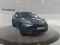 Neu Cupra Tavascan Endurance 210 kW (286 PS) 2026 Blau SUV