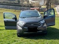 Gebraucht Ford Ecosport Titanium 125 PS (91 kW) 2019 Grau SUV