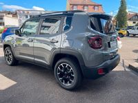 Gebraucht Jeep Renegade 241 PS (177 kW) 2023 Grau SUV