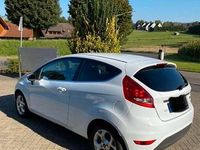 Gebraucht Ford Fiesta Titanium 60 PS (44 kW) 2009 Weiß Kleinwagen