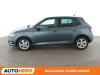 Gebraucht Skoda Fabia Style 95 PS (69 kW) 2019 Gray Kleinwagen