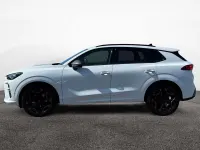 Usata Cupra Terramar 150 CV (110 kW) 2026 Bianco SUV