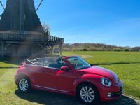 Gebraucht VW Beetle 2014 Rot Kleinwagen
