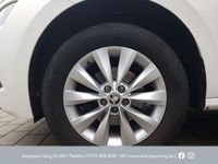 gebraucht Skoda Kamiq 1.0 TGI G-TEC EU6d Ambition 1,0l TSI G-Tec66