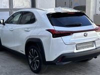 Gebraucht Lexus UX 250h 184 PS (135 kW) 2022 Weiß SUV
