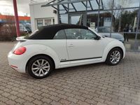 gebraucht VW Beetle 2.0 TDI DSG BMT Cabriolet Xenon Navi PDC