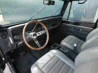 Gebraucht Jeep Wrangler 184 PS (135 kW) 1993 Schwarz SUV