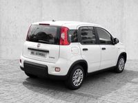 gebraucht Fiat Panda Mild Hybrid EU6d/ Tech Paket/ Gelato Weiß