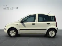 Gebraucht Fiat Panda Active 54 PS (39 kW) 2009 Kleinwagen