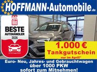 Neu Cupra Ateca 150 PS (110 kW) 2026 Grau SUV