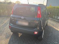 Gebraucht Fiat Panda 69 PS (50 kW) 2020 Schwarz Kleinwagen