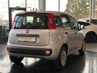 Gebraucht Fiat Panda Connect 69 PS (50 kW) 2020 Grau Kleinwagen