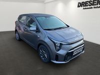 Neu Kia Picanto Vision 68 PS (50 kW) 2025 Grau Kleinwagen
