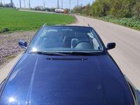 Gebraucht BMW 318 Cabriolet 143 PS (105 kW) 2002 Blau Cabrio
