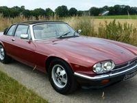 gebraucht Jaguar XJS (Arden)