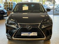 gebraucht Lexus NX300h Executive