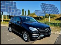 Gebraucht Mercedes ML350 258 PS (189 kW) 2015 Schwarz SUV