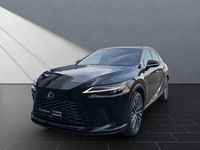 Neu Lexus RX350h Executive Line 250 PS (183 kW) 2026 Graphite black SUV
