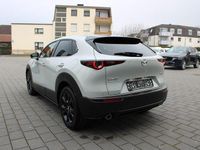 Gebraucht Mazda CX-30 Homura-Line 140 PS (102 kW) 2024 SUV