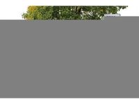 Gebraucht Audi S6 Ambiente 344 PS (253 kW) 2024 Grau Limousine