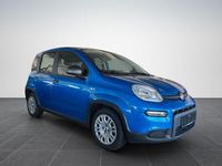 Gebraucht Fiat Panda Cross Cross 69 PS (50 kW) 2025 Italia blau Kleinwagen