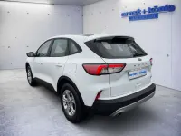 Gebraucht Ford Kuga Cool & Connect 224 PS (164 kW) 2022 Weiß SUV
