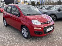 Neu Fiat Panda 69 PS (50 kW) 2026 Rot Kleinwagen