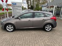 gebraucht Ford Focus Champions Edition