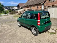 Gebraucht Fiat Panda 4x4 Climbing 69 PS (50 kW) 2006 Grün Kleinwagen