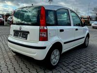 gebraucht Fiat Panda 1.2 8V Dynamic"TÜV 06.2025"Automatik"