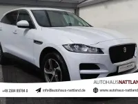 Gebraucht Jaguar F-Pace Prestige 250 PS (183 kW) 2018 Weiß SUV