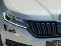 Gebraucht Skoda Kodiaq Ambition 190 PS (139 kW) 2019 Grau SUV