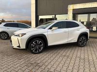 Gebraucht Lexus UX 250h 184 PS (135 kW) 2022 Sonic white SUV