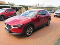 Gebraucht Mazda CX-30 Selection 186 PS (136 kW) 2021 Rot SUV
