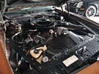 Gebraucht Pontiac Formula 209 PS (153 kW) 1974 Braun