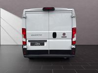 Gebraucht Fiat Ducato 120 PS (88 kW) 2023 Weiß Van