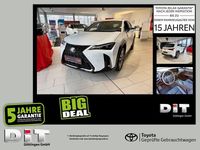 Gebraucht Lexus UX 300h Sport Design Packet 199 PS (146 kW) 2024 Fuji weiß SUV