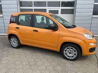 Gebraucht Fiat Panda Easy 69 PS (50 kW) 2020 Colore esterno (orange) Kleinwagen