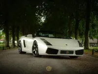Gebraucht Lamborghini Gallardo 519 PS (381 kW) 2008 Weiß Cabrio