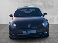 Gebraucht VW Beetle Allstar 105 PS (77 kW) 2016 Braun Kleinwagen