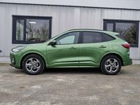 Gebraucht Ford Kuga ST-Line 151 PS (111 kW) 2024 Grün SUV