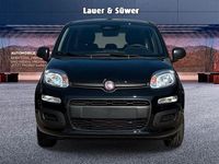 Neu Fiat Panda Icon 65 PS (47 kW) 2026 Schwarz Kleinwagen