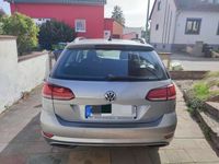 gebraucht VW Golf VII 