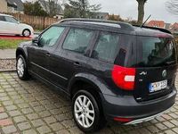 gebraucht Skoda Yeti Ambition Plus Edition 1.4 TSI /DSG/Klima/SHZ/PDC/Xenon