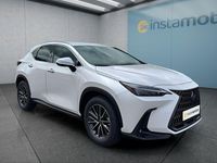 Neu Lexus NX350h Executive Line 243 PS (178 kW) 2025 Weiß SUV