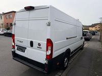 Gebraucht Fiat Ducato 160 PS (117 kW) 2020 Weiß Van