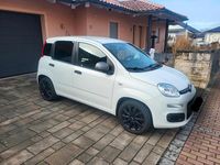 Gebraucht Fiat Panda Young 69 PS (50 kW) 2014 Weiß Kleinwagen