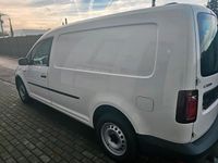 Gebraucht VW Caddy Maxi 102 PS (75 kW) 2020 Weiß Van / Kleinbus